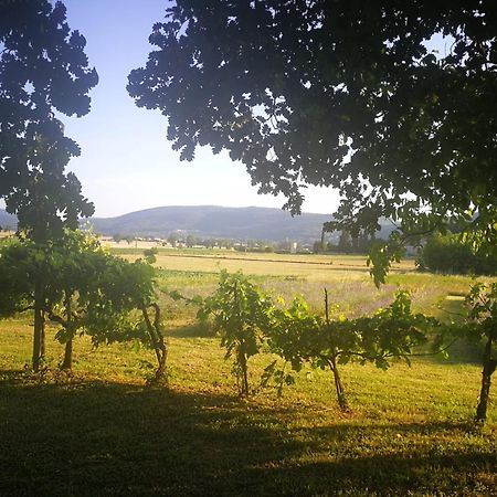 Claudia Vacanza Toscana - Appartamento Melograno -10 Min Da Siena Sovicille Buitenkant foto