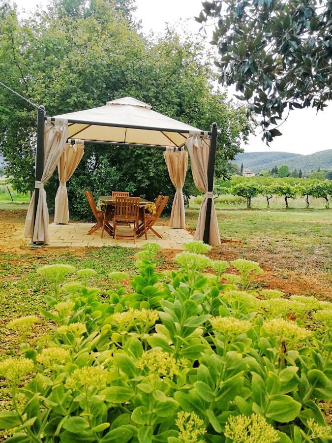Claudia Vacanza Toscana - Appartamento Melograno -10 Min Da Siena Sovicille Kamer foto