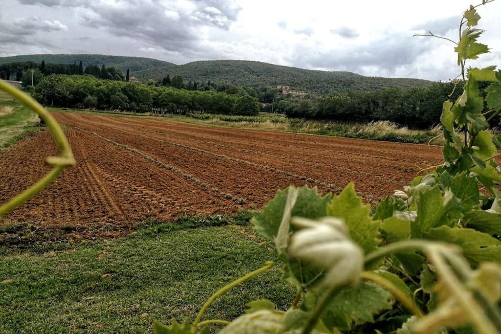 Claudia Vacanza Toscana - Appartamento Melograno -10 Min Da Siena Sovicille Buitenkant foto