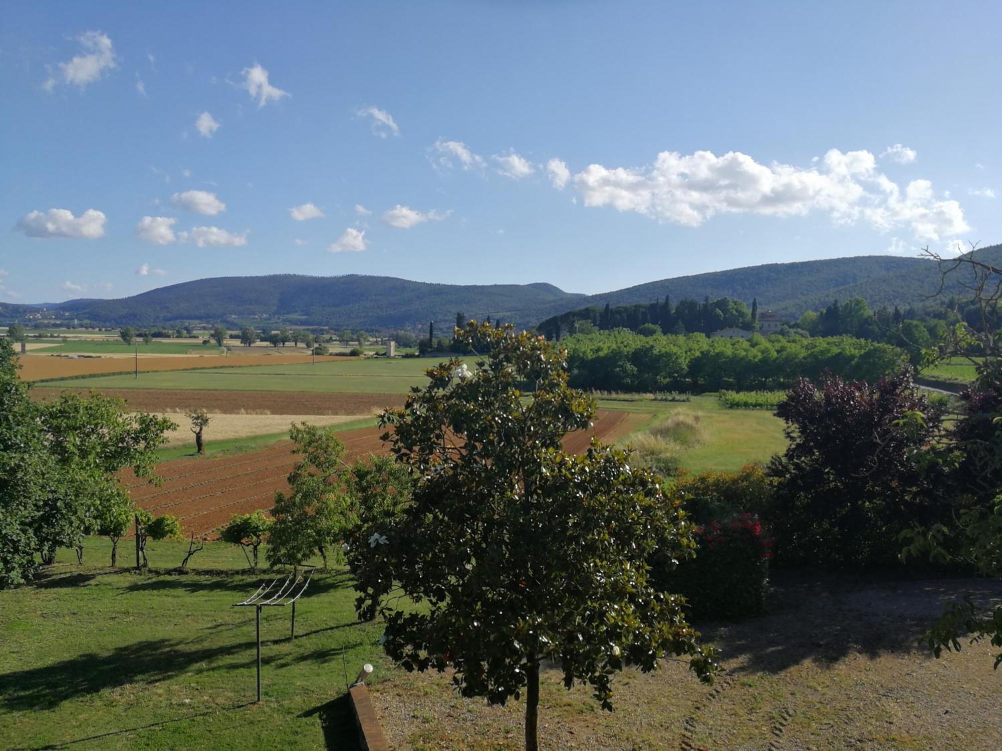 Claudia Vacanza Toscana - Appartamento Melograno -10 Min Da Siena Sovicille Kamer foto